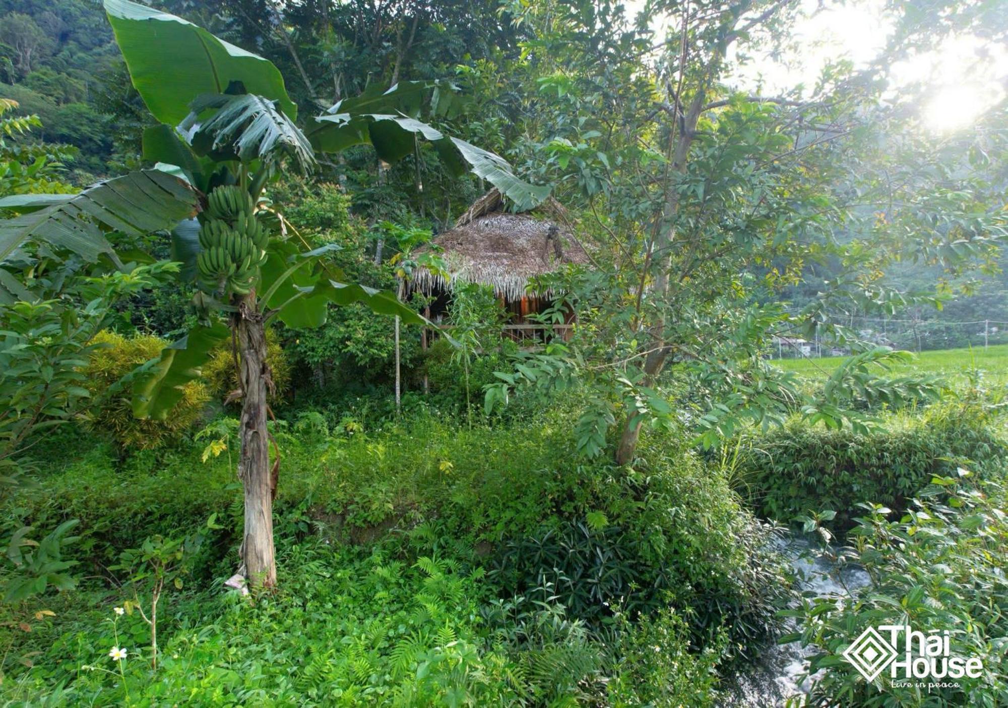 Thai House Pu Luong - Century Old Stilt House With Terrace Views Huong Ba Thuoc Exterior foto
