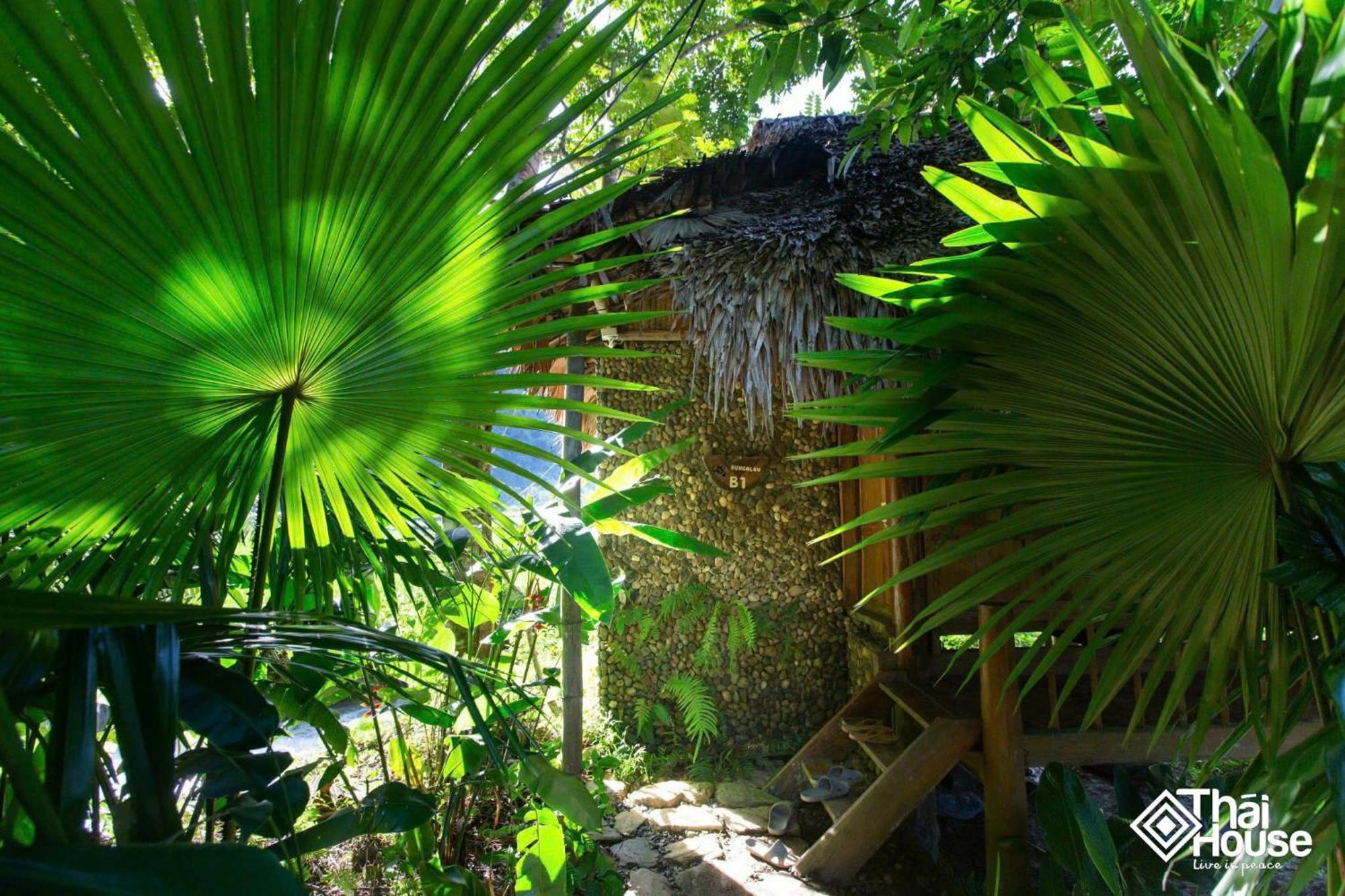 Thai House Pu Luong - Century Old Stilt House With Terrace Views Huong Ba Thuoc Exterior foto